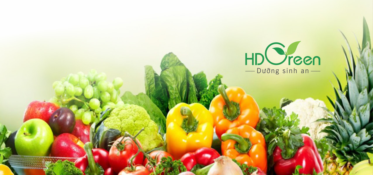 HDGreen Banner 5 (thực phẩm hữu cơ HDGreen Hải Dương)