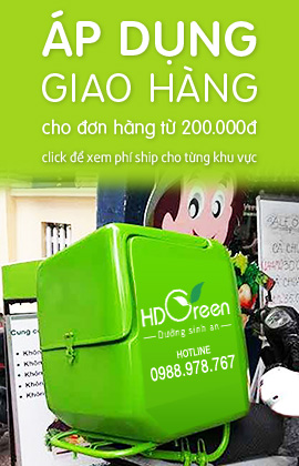 Giao hàng HD Green