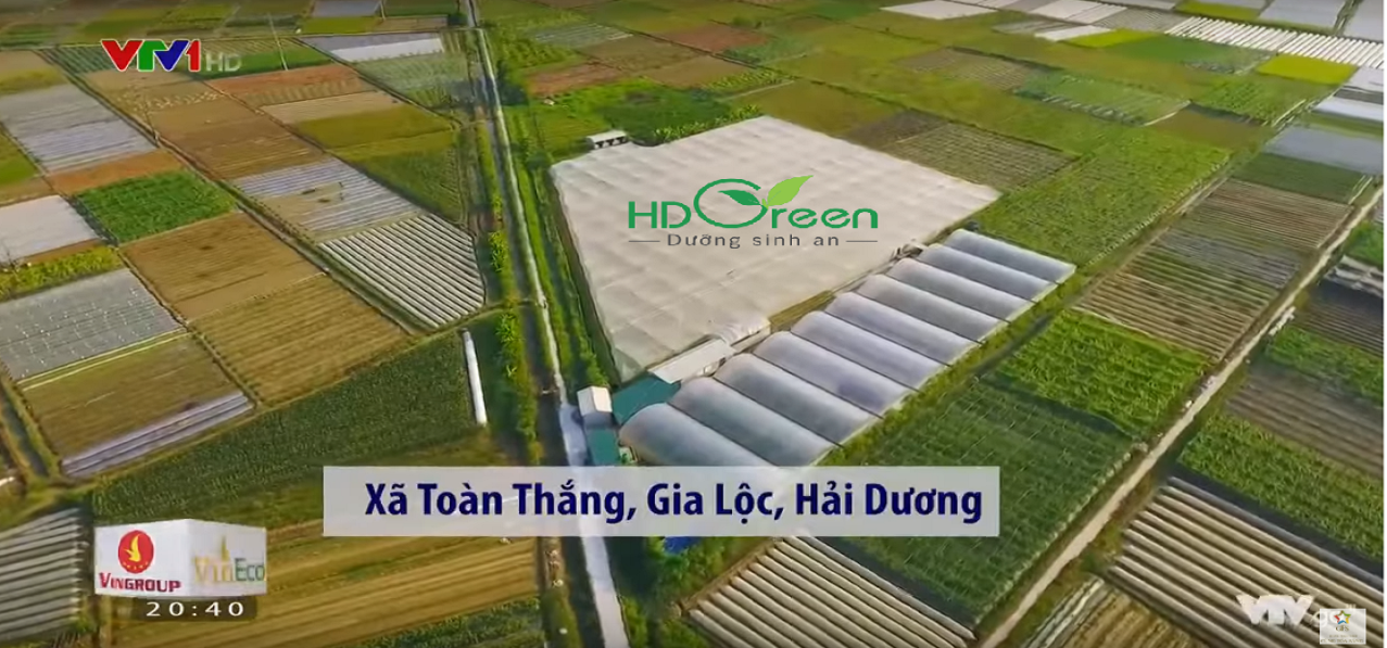 HDGreen Banner 4 (Thực phẩm hữu cơ HDGreen Hải Dương)